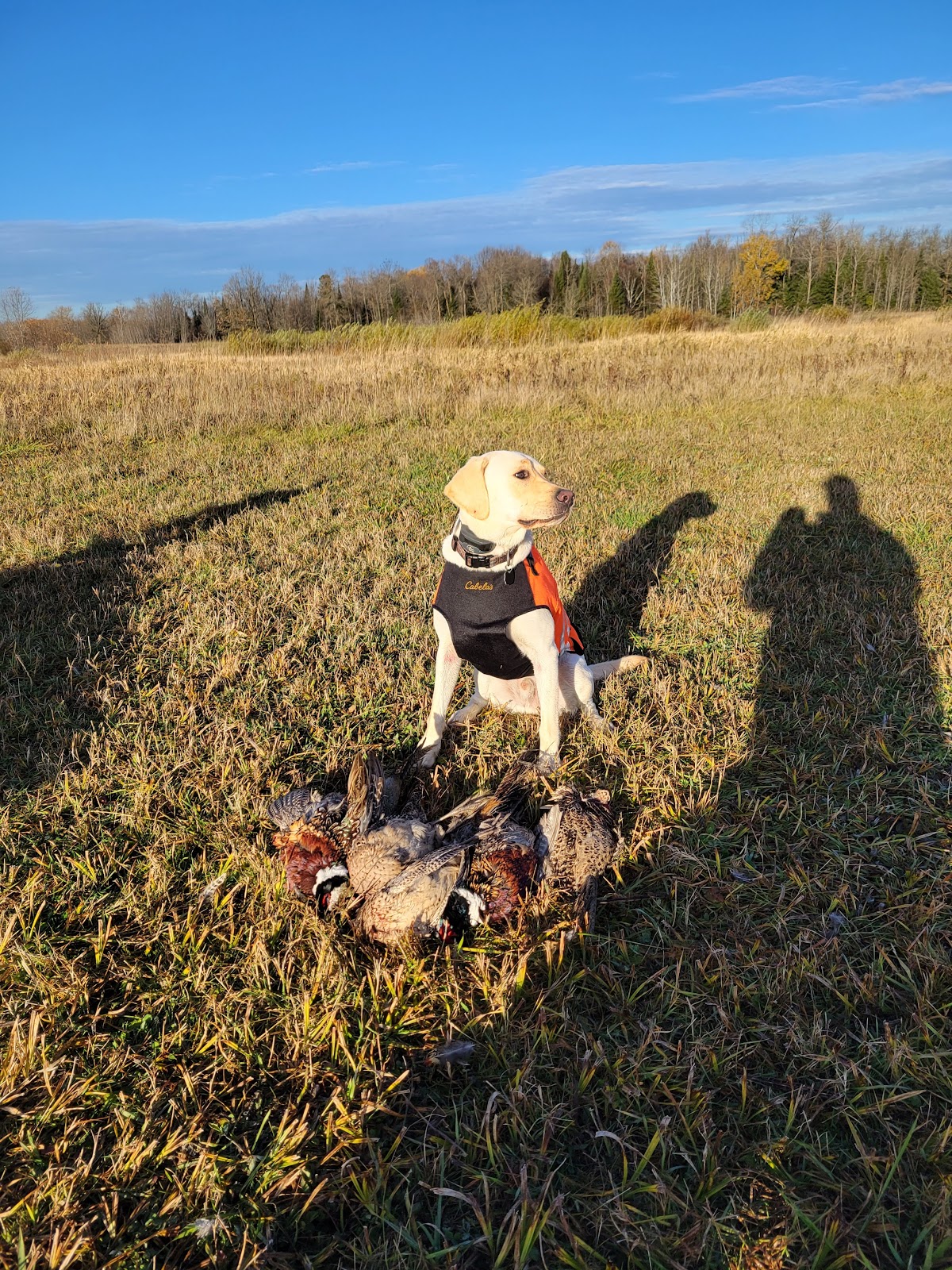Bader's Pheasant Run