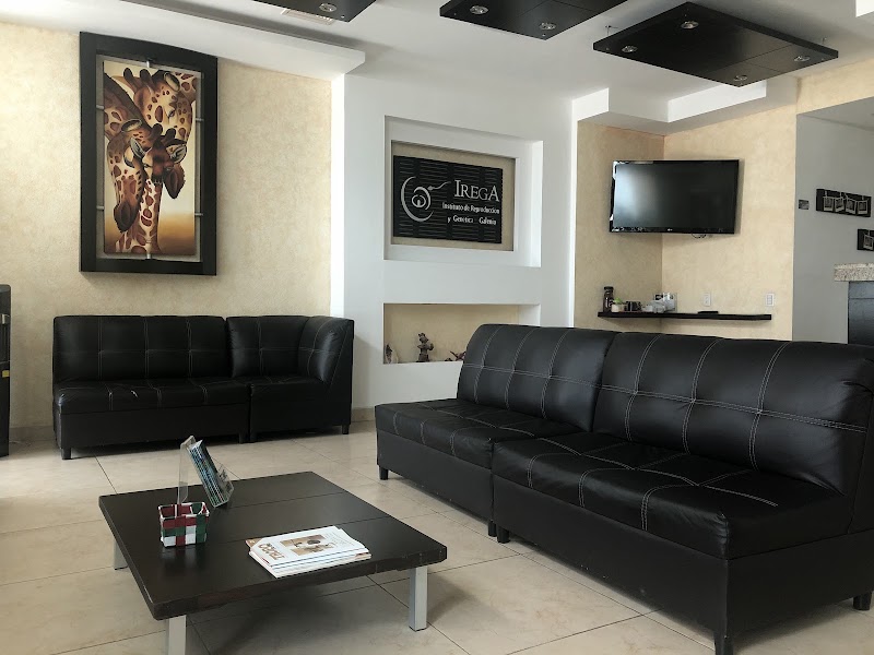 Gallery 2