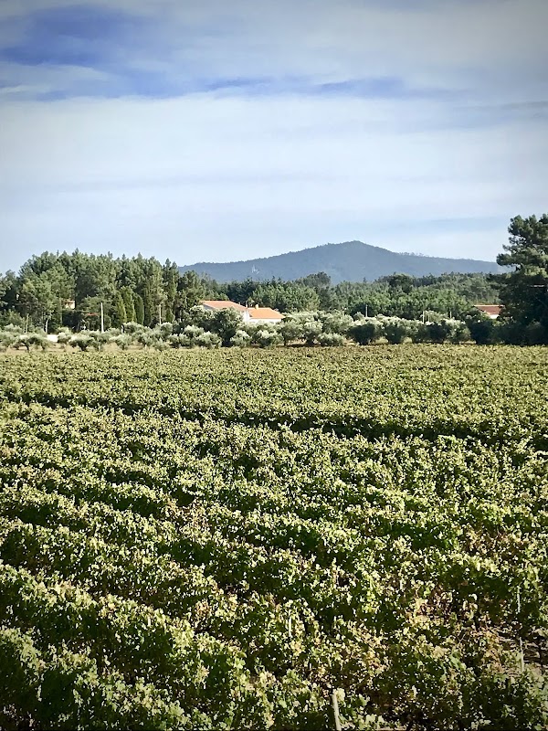 Quinta dos Abibes