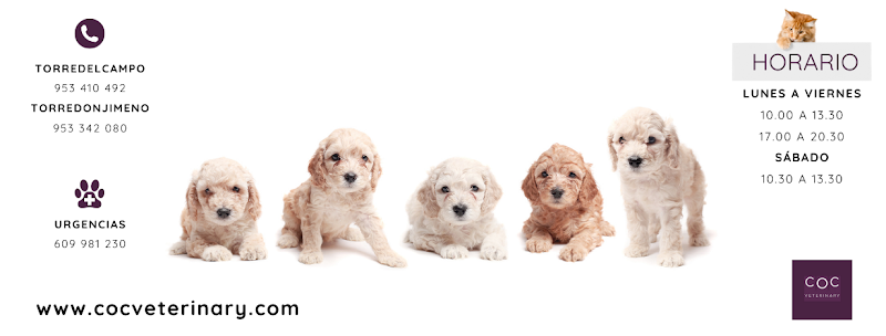 COC Veterinary Torredelcampo