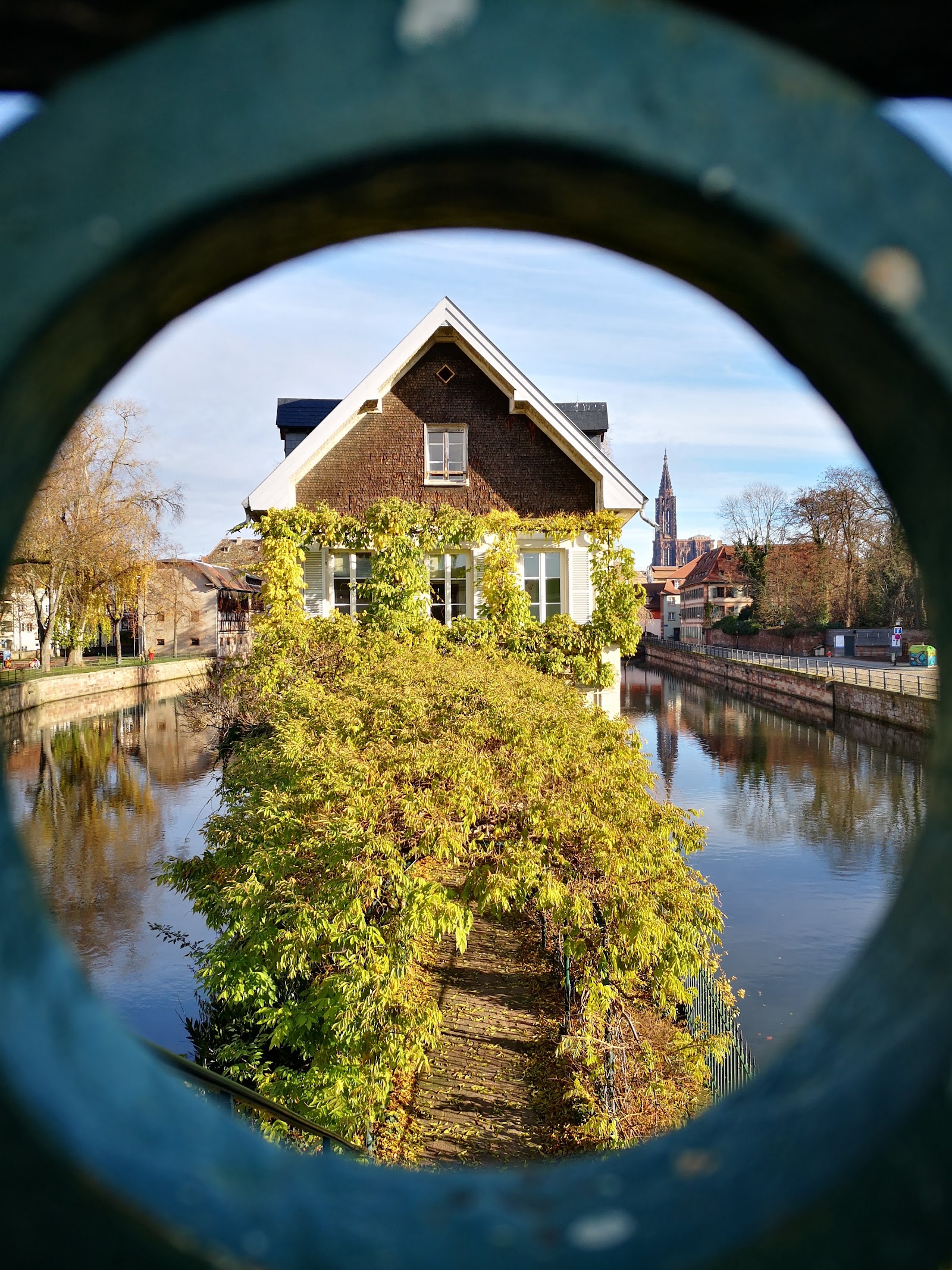Best Dog-Friendly Hotels in Strasbourg, France