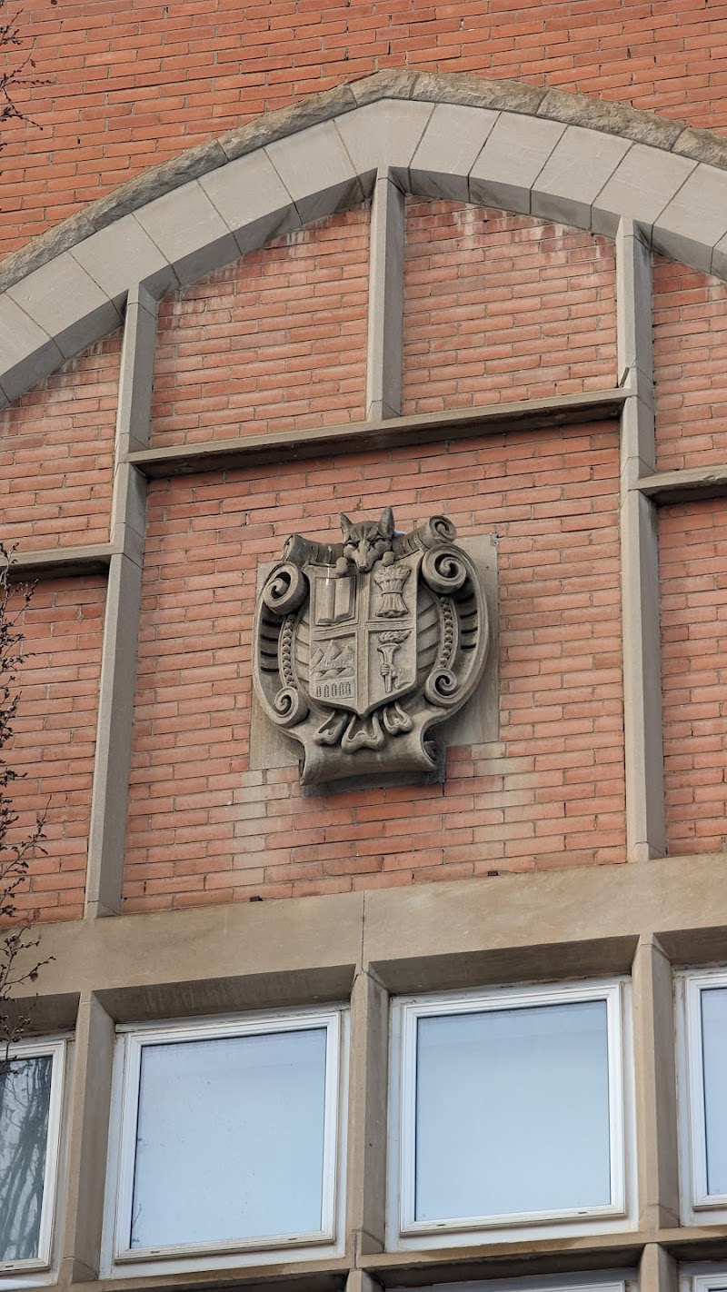 Intercultural Child and Family Centre photo 3