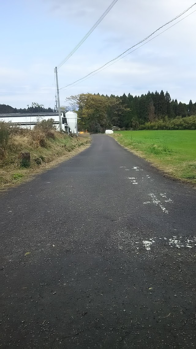 Takaharu Golf Club - Photo 7