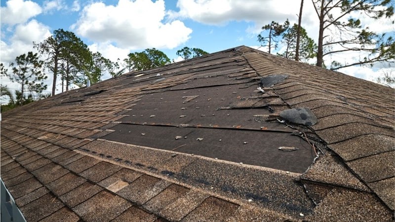 Roman Roofing Inc photo 2