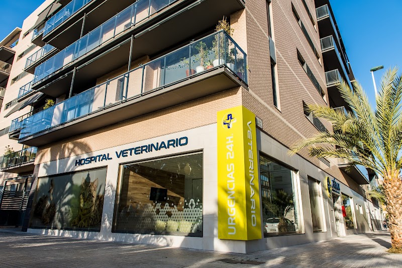 Fénix Hospital Veterinario 24H - Alicante