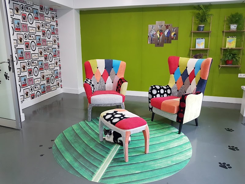 La Clínica del Estadio - Centro Veterinario