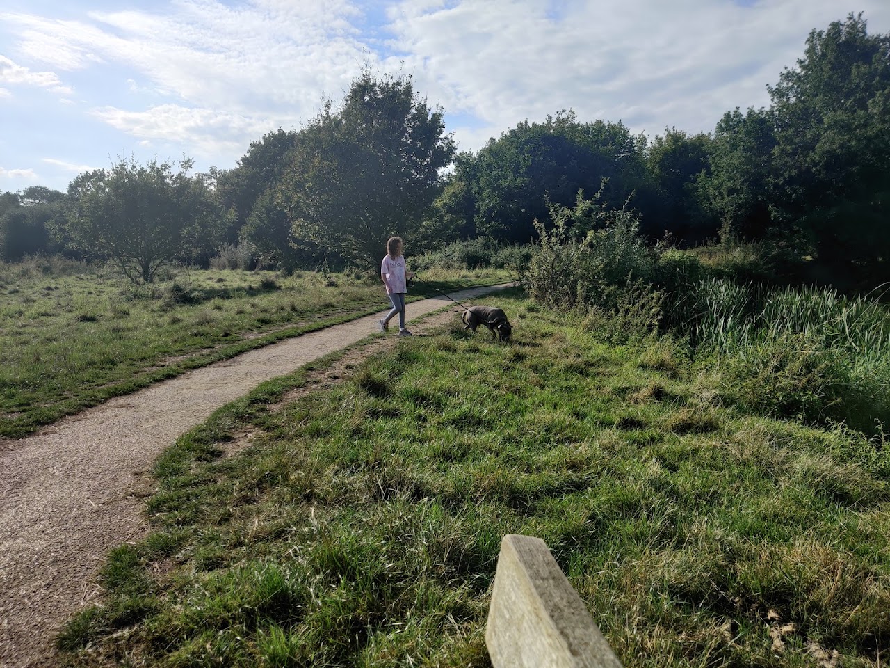 Shepherd Meadows