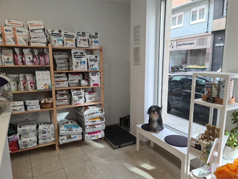 Clínica Veterinaria Coruvet (A Coruña) photo 5