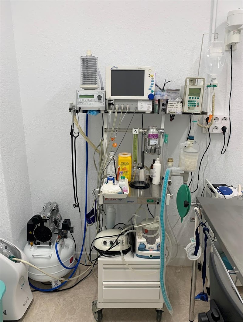 Clínica Veterinaria Coruvet (A Coruña) photo 2