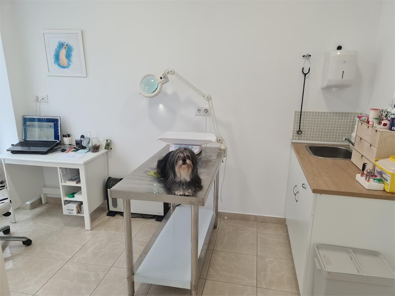 Clínica Veterinaria Coruvet (A Coruña) photo 3