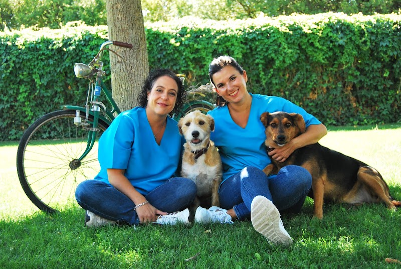 Aranda Clínica Veterinaria - Aranda de Duero