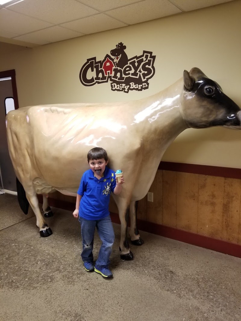 Chaney's Dairy Barn photo 3