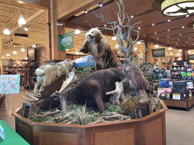 Sportsman's Warehouse #612 photo