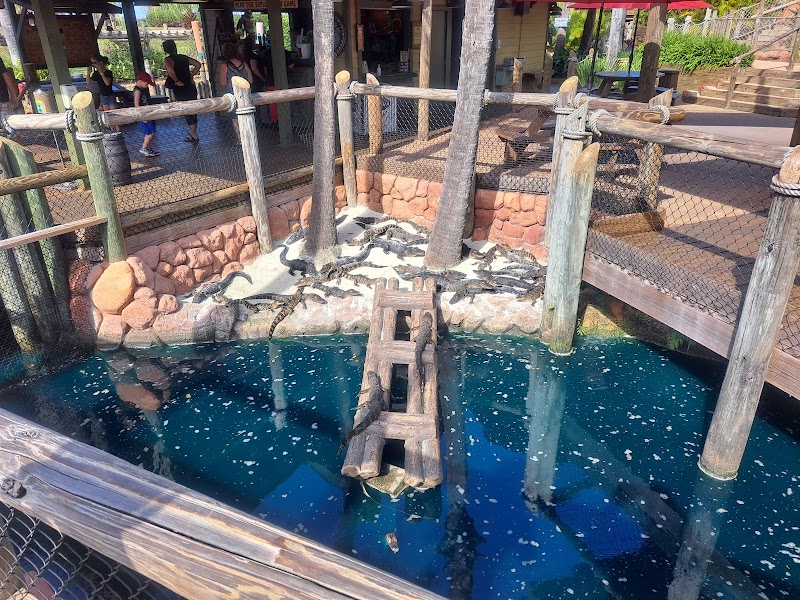 Congo River Golf photo 5