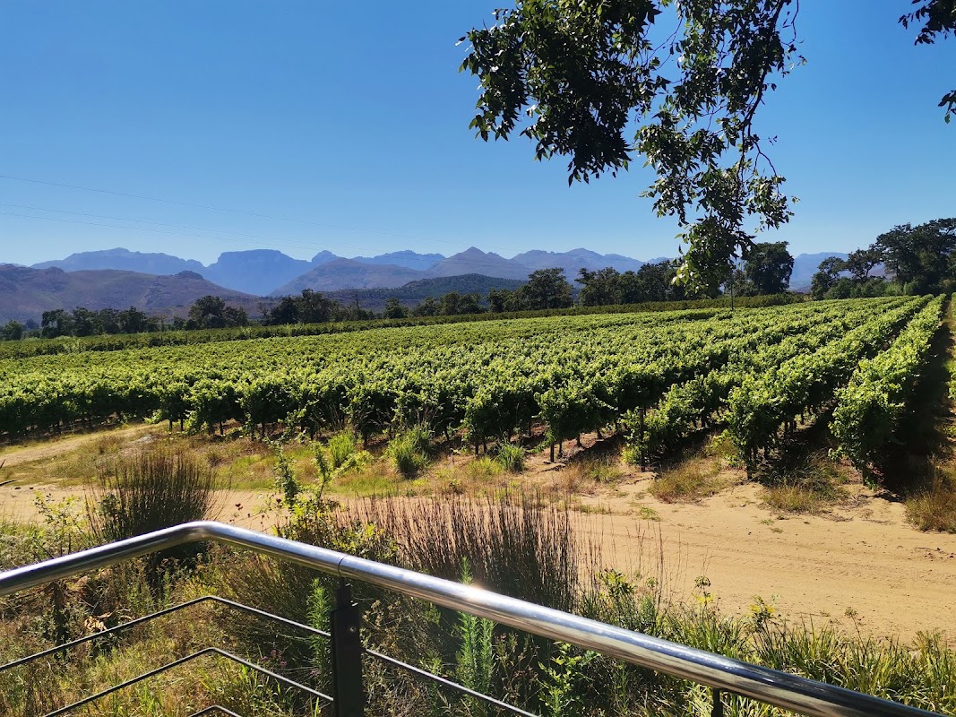 Allée Bleue Wine Estate