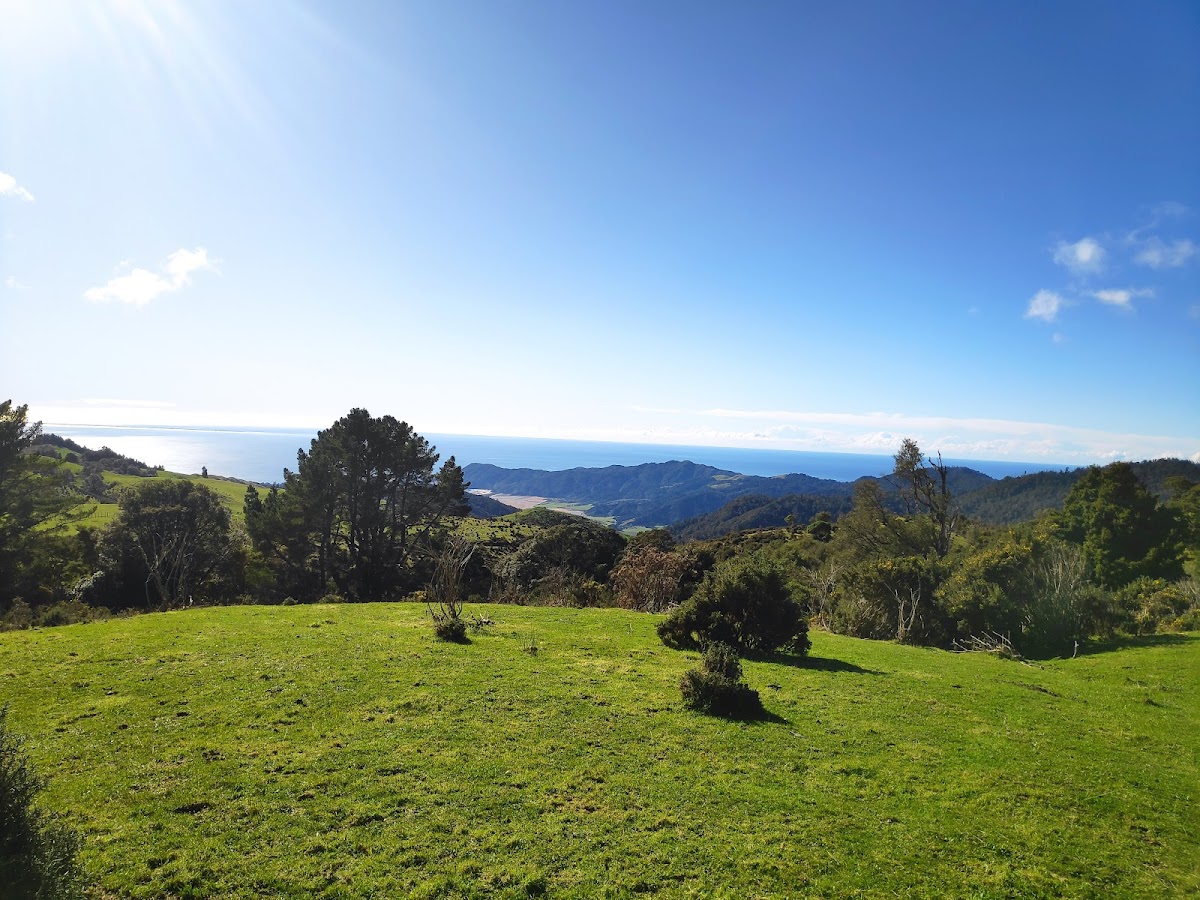 Anahata Yoga Retreat - NZ — 4
