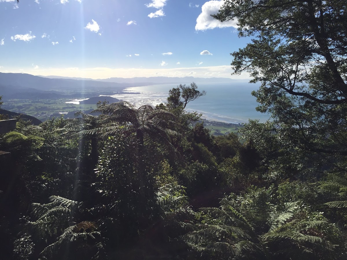 Anahata Yoga Retreat - NZ — 3