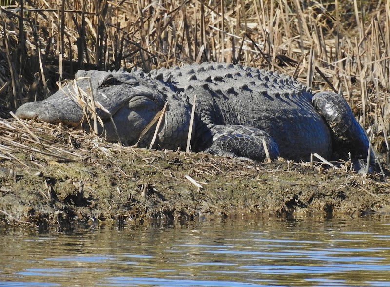 Donnelley Wildlife Management Area - Photo 4