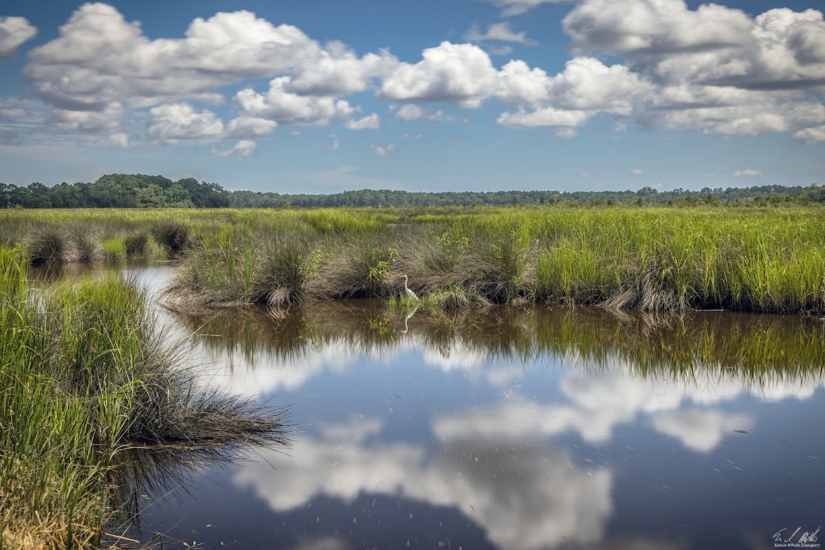 Donnelley Wildlife Management Area