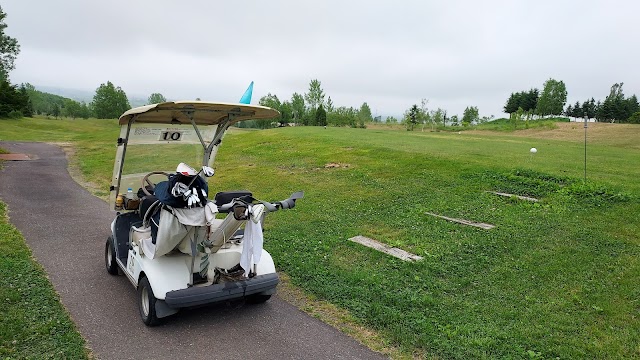Green Scole Country Club - Photo 5