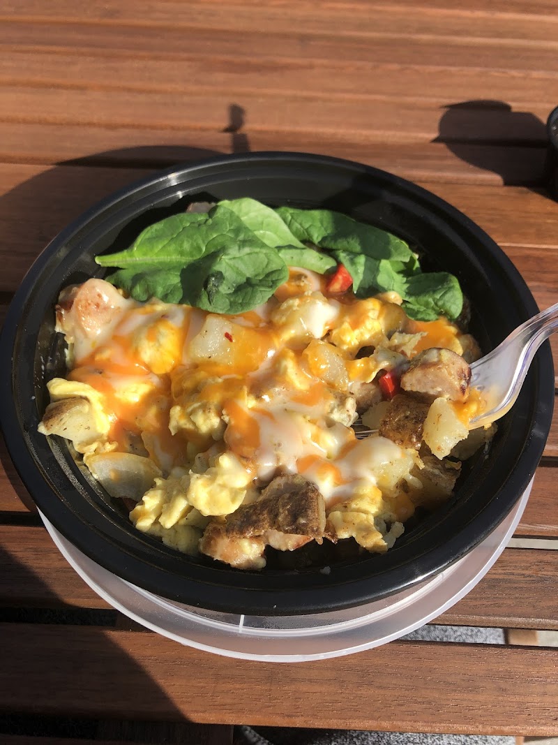 The Flower and the Bee photo 3