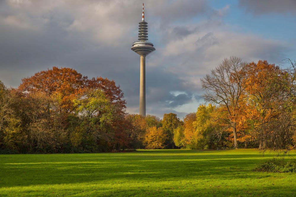 Grüneburgpark fotoğraf 1
