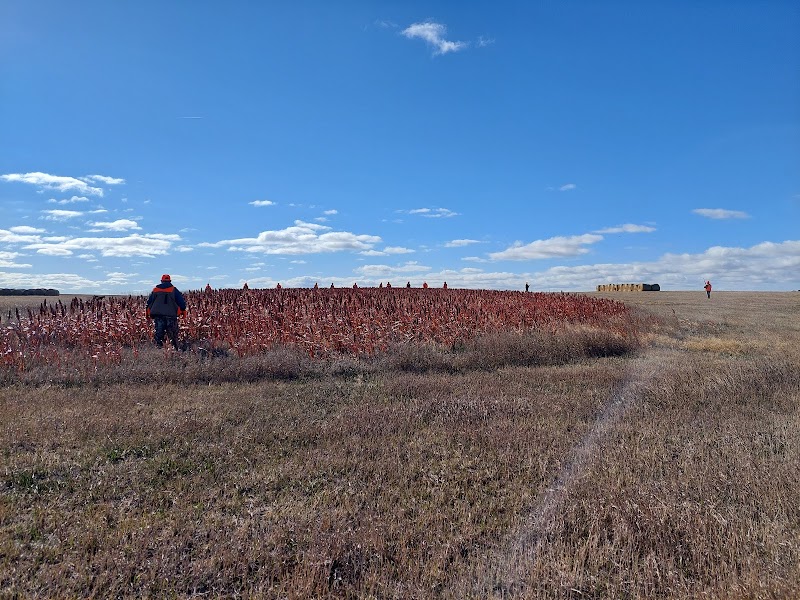 Garnos Ranch - Photo 2