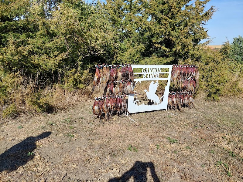 Garnos Ranch - Photo 3