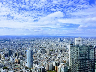 Tokyo Metropolitan Government Building | North Observation Deck