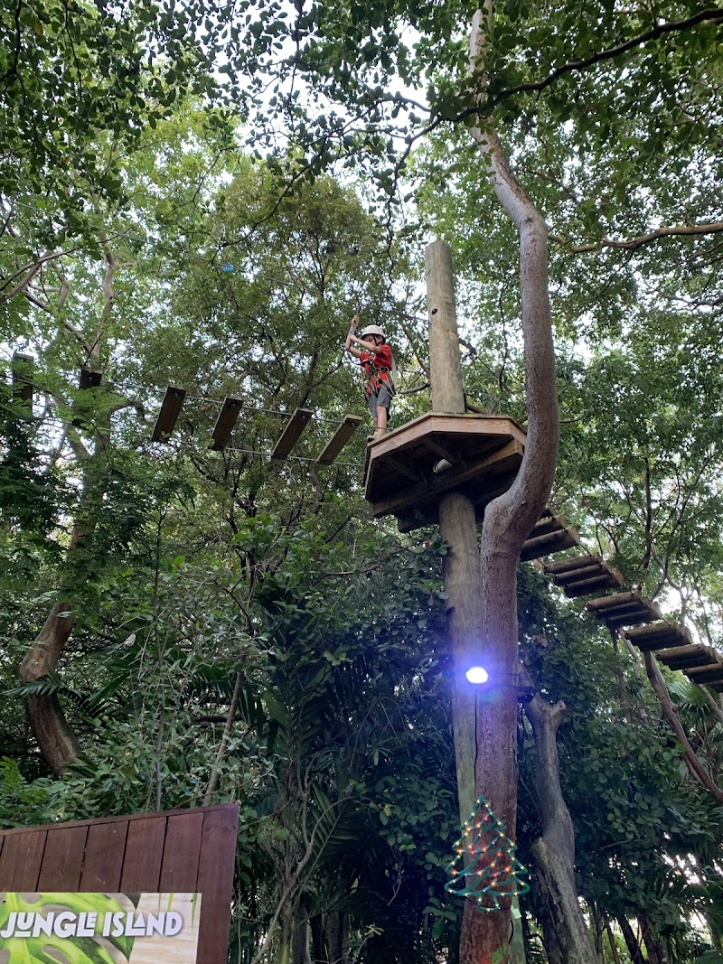 Treetop Trekking Miami photo 6