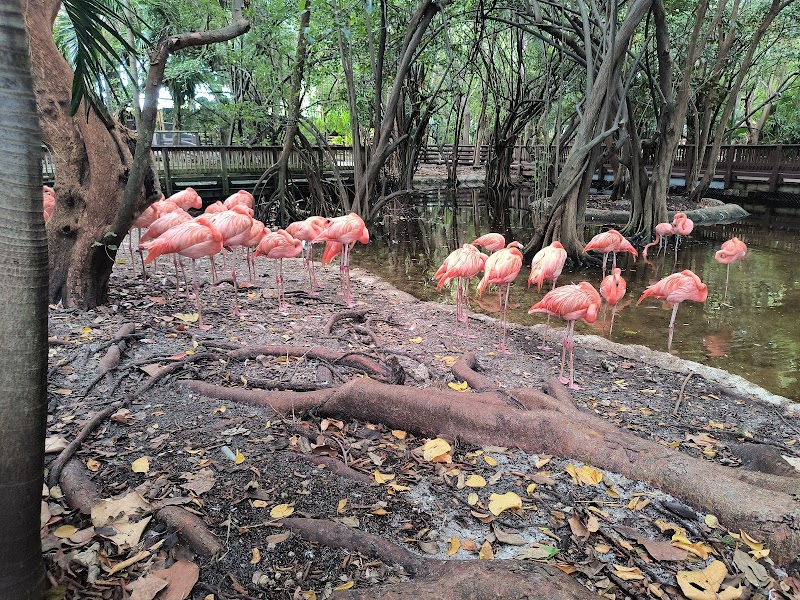 Treetop Trekking Miami photo 8
