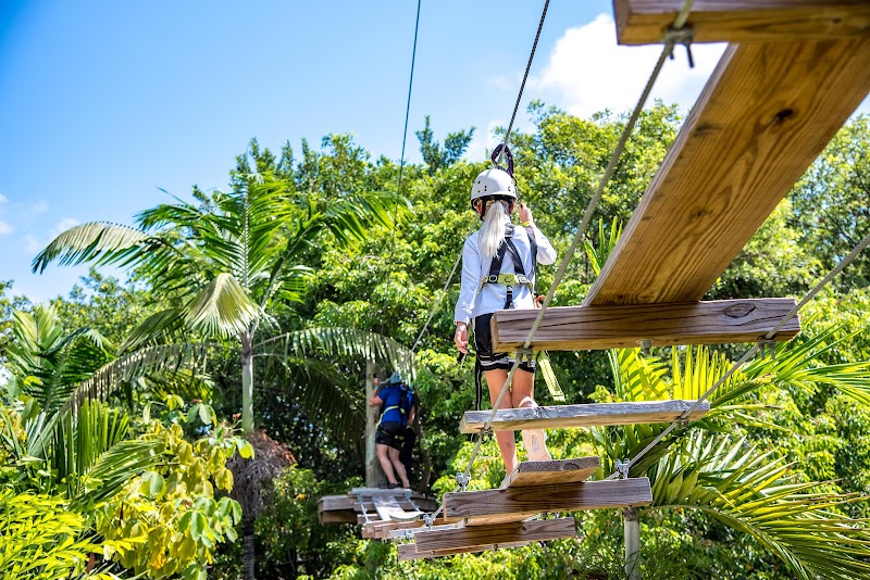 Treetop Trekking Miami — Amusement Park in Miami