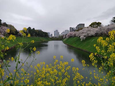 Chidorigafuchi - 4