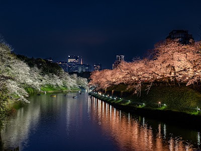 Chidorigafuchi - 1