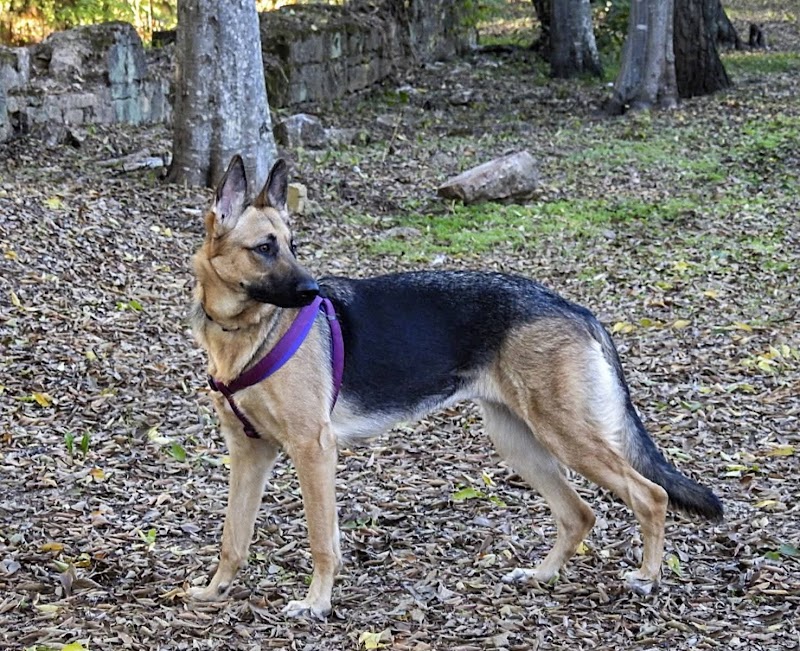 María Rojas Martínez
