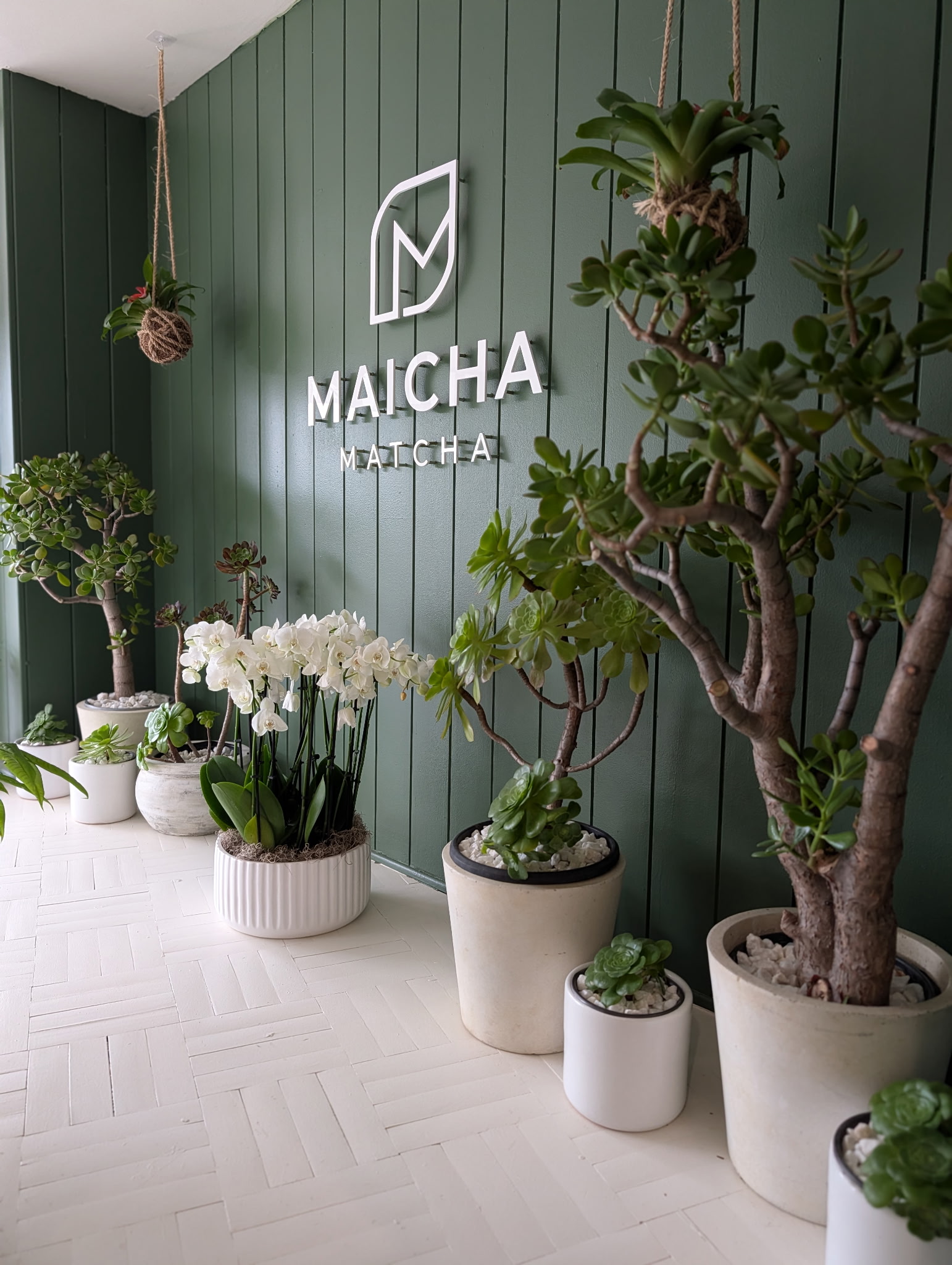 Maicha Matcha - Photo 4