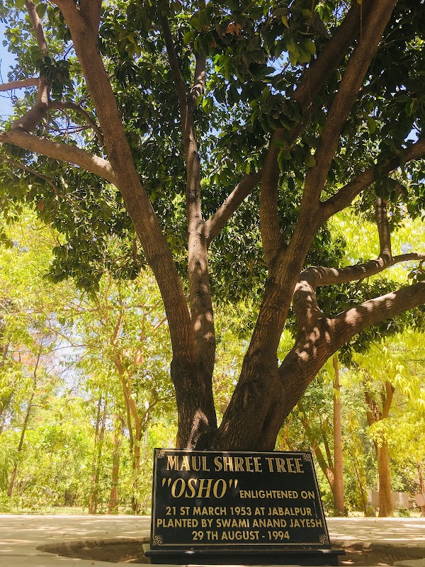 Osho Manan Neo-Sannyas Commune