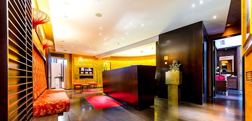 Haarzentrum an der Oper logo