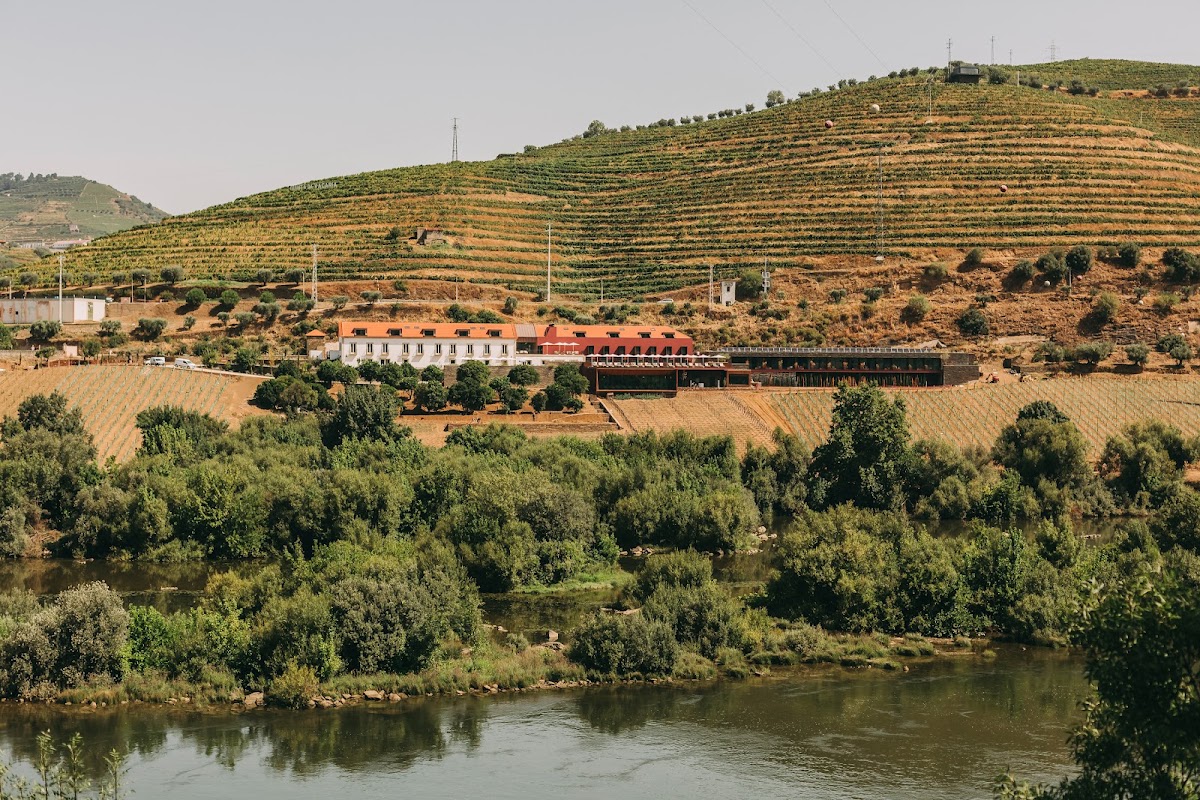 Torel Quinta da Vacaria, dog-friendly hotel in Douro Valley
