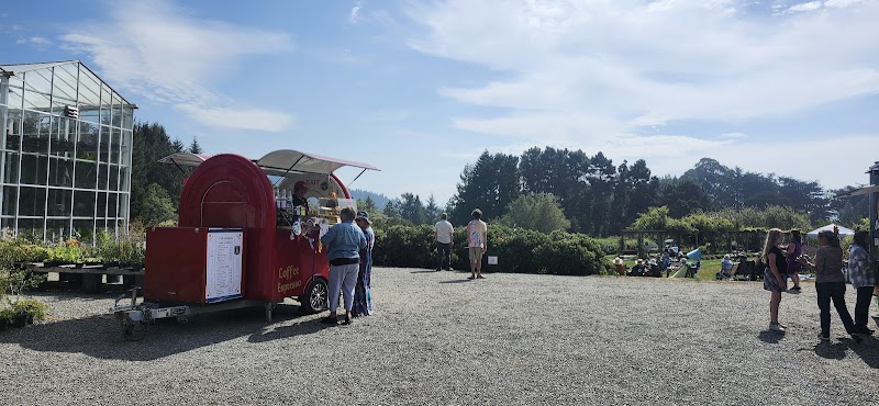 The Cafe Artistes photo 3