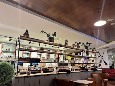 Mackbear Coffe CO.Kızılay (KOLEJ ŞUBE) - Kafe