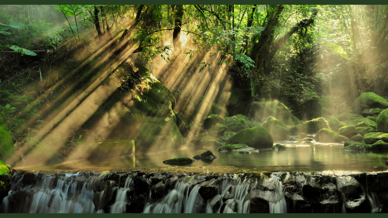 The Hideaway Massage and Spa Retreat