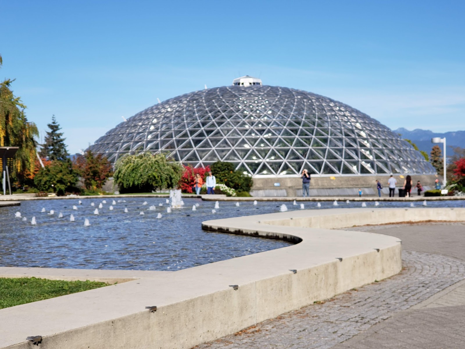 Bloedel Conservatory — view 3