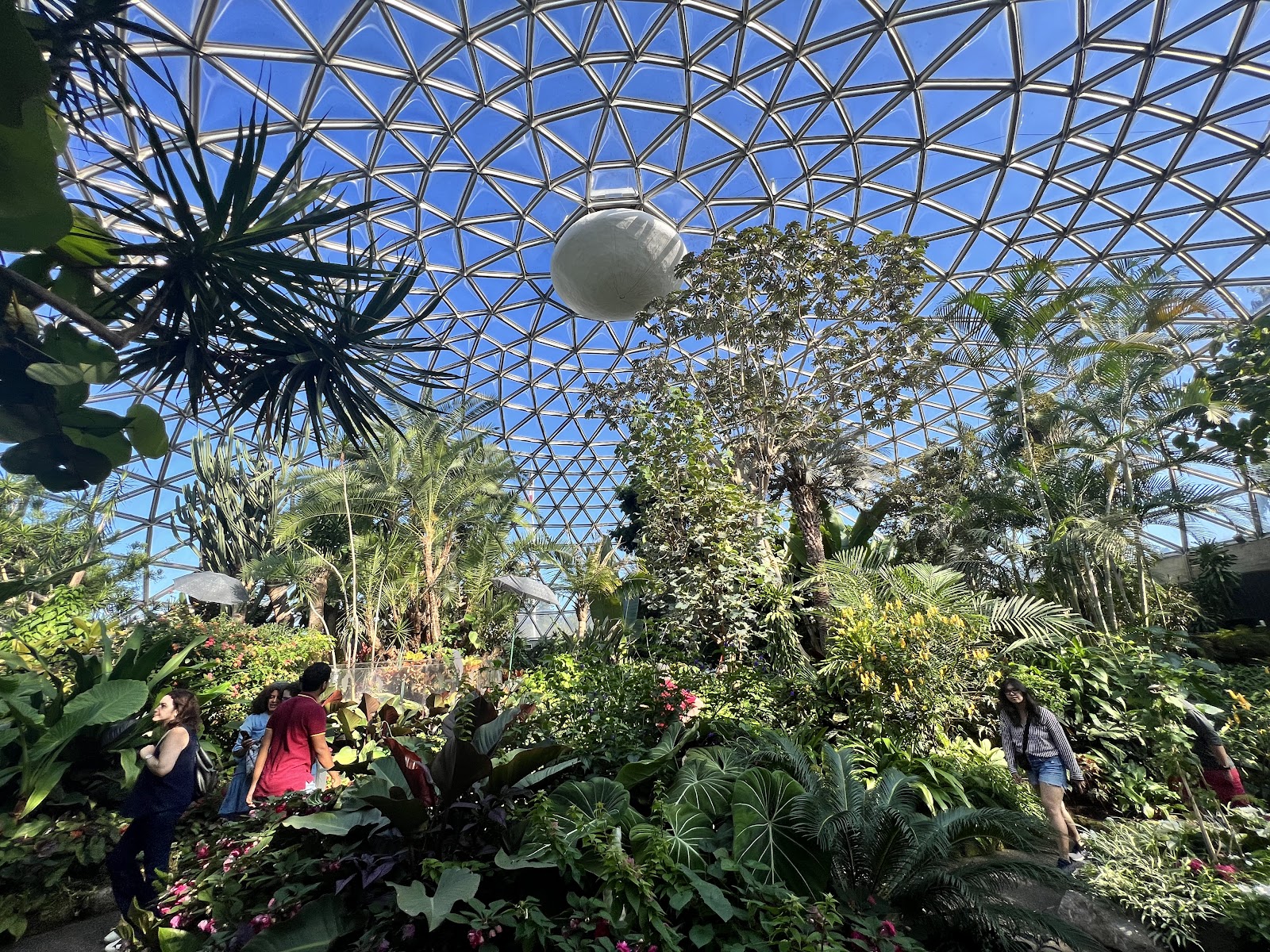 Bloedel Conservatory — view 2