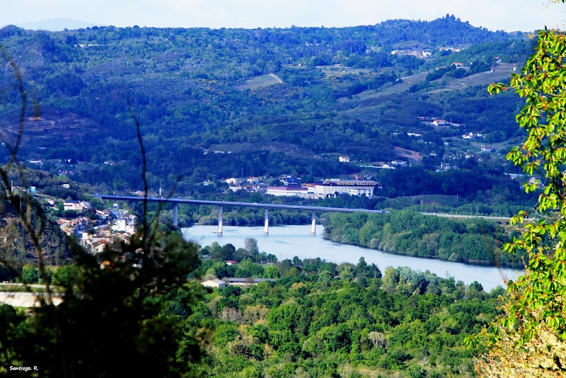 Vinos & Bodegas Gallegas photo 3
