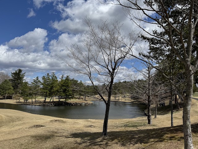 Sendai Classic Golf Club - Photo 8