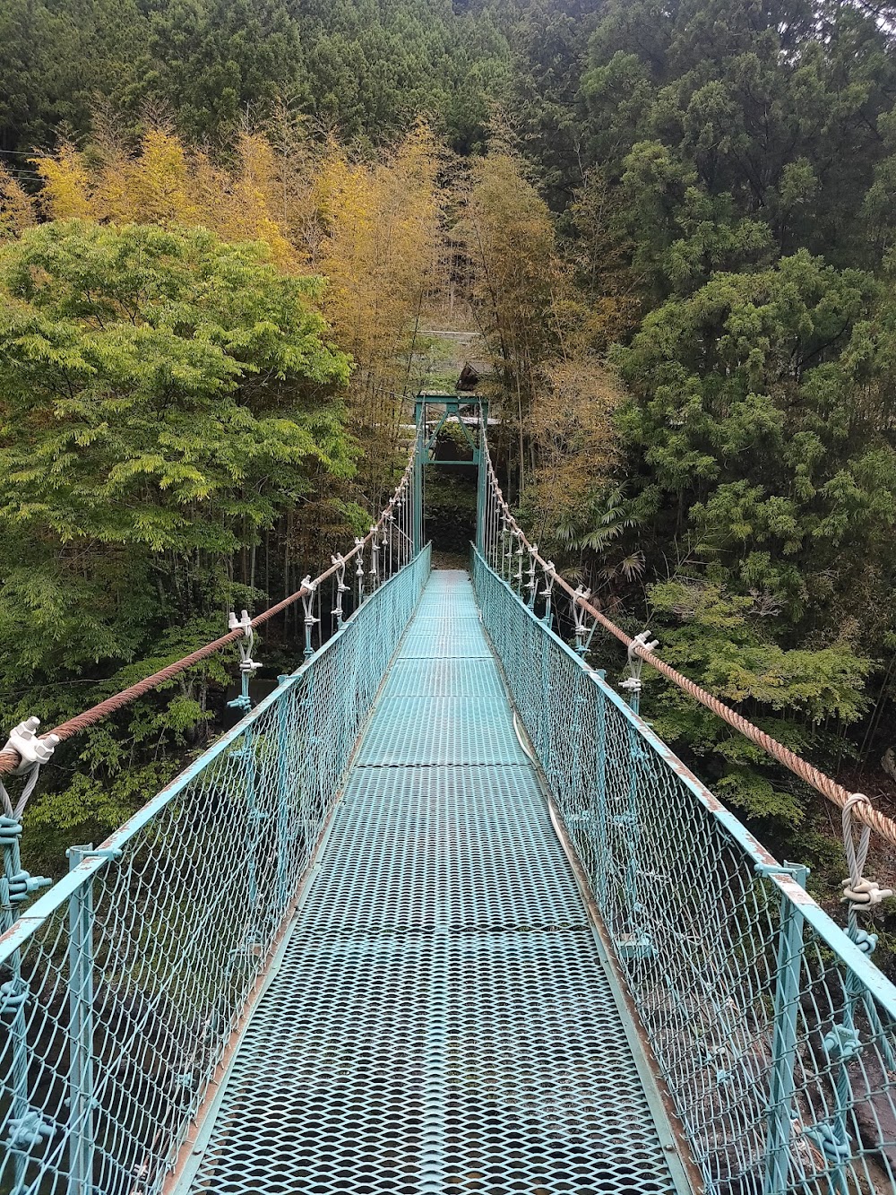 オートキャンプ場 庵の郷