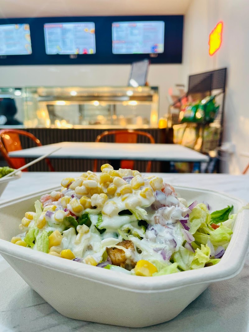 GravyT (Indo-Mexican) photo 3