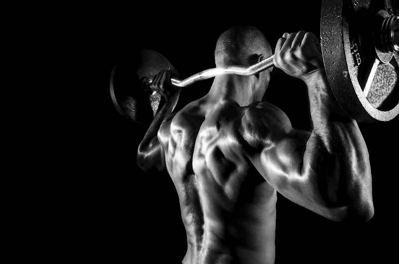 Palestra New Emotion