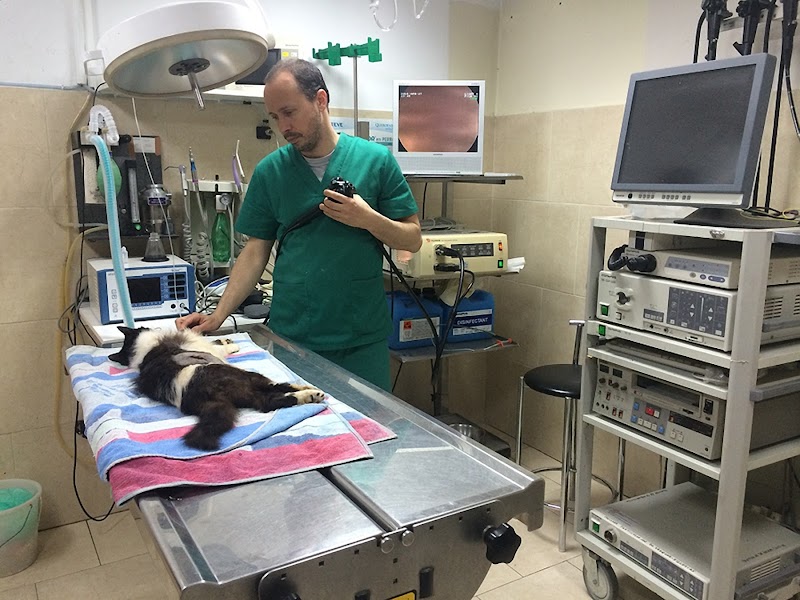 Clínica Veterinaria Del Sol | MiVet photo 2